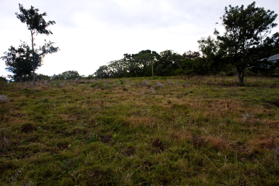 0 Bedroom Property for Sale in Bathurst Eastern Cape